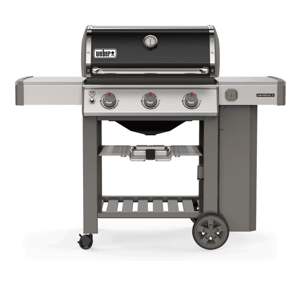Weber GENESIS II E-310 - 61011175