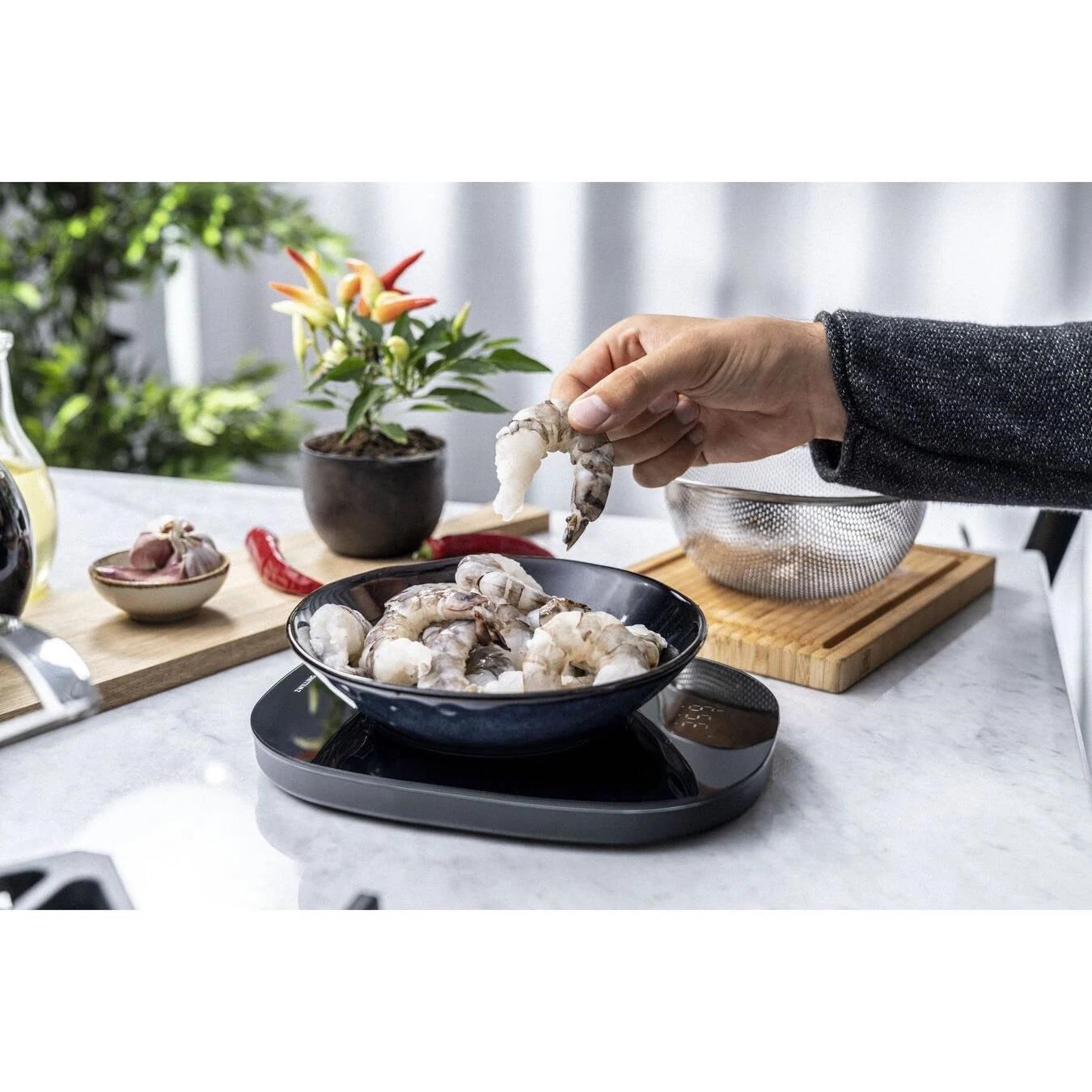 Zwilling Enfinigy Mutfak Tartısı - 531044010