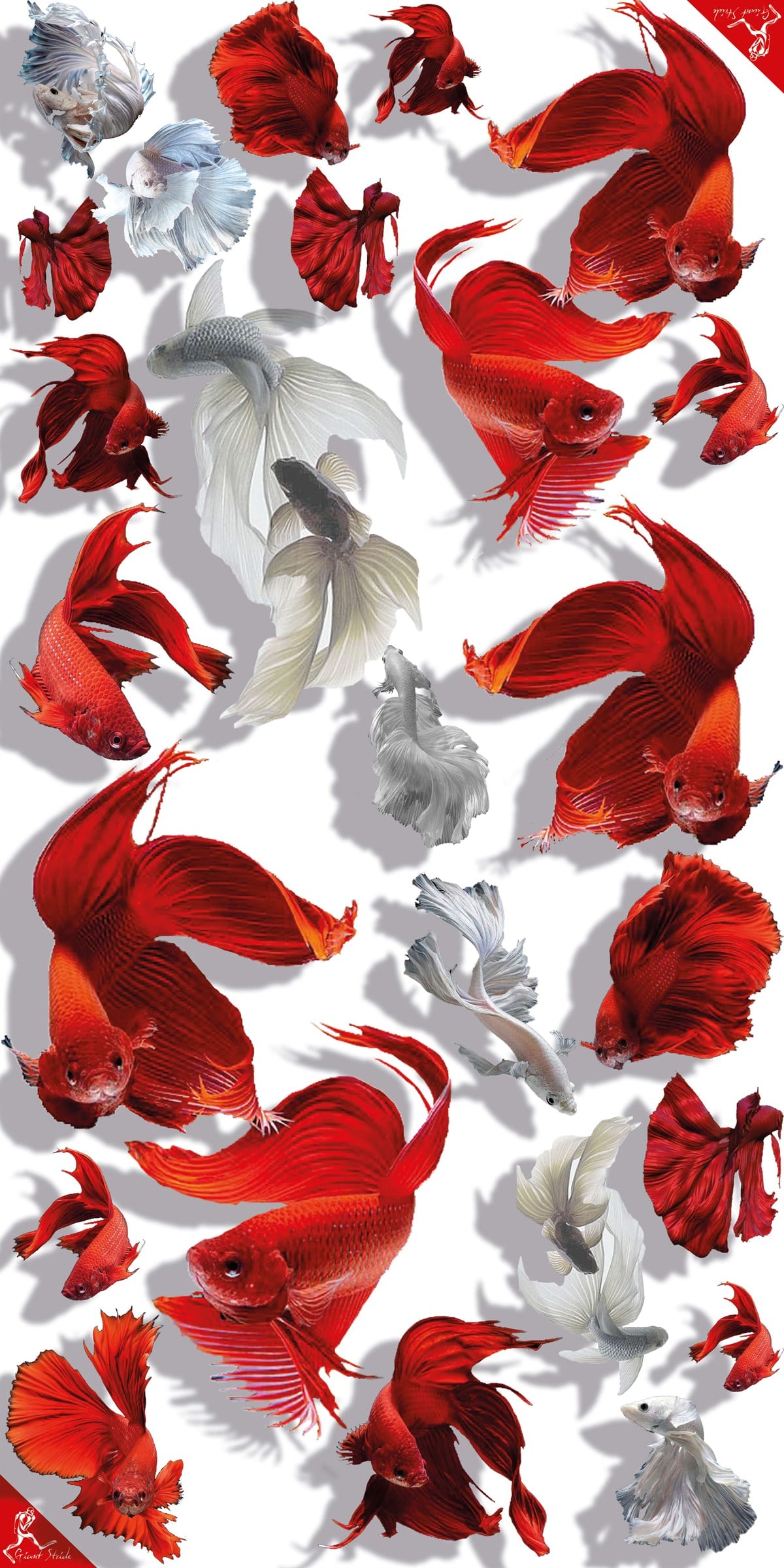 Fish Flag Towel