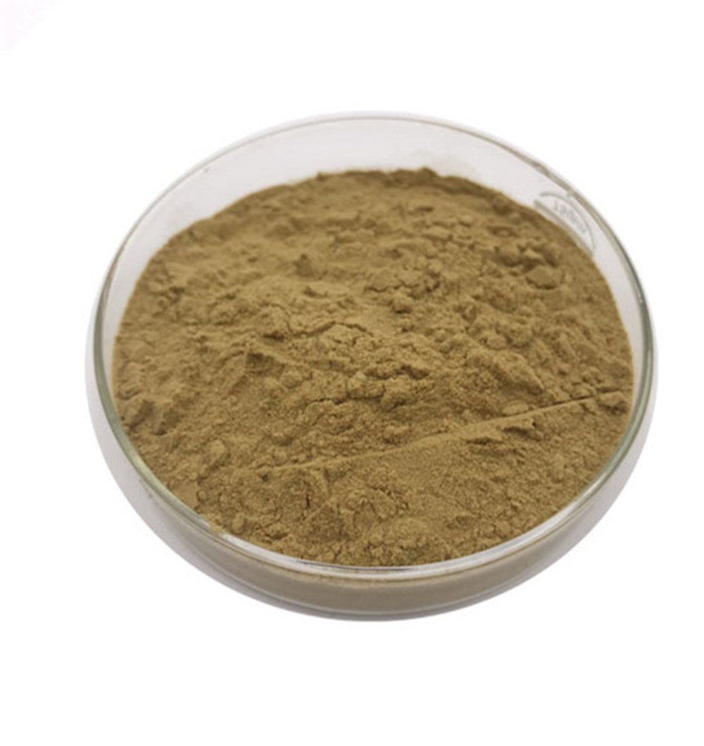 Artichoke Extract (Enginar Ekstresi) - Toz