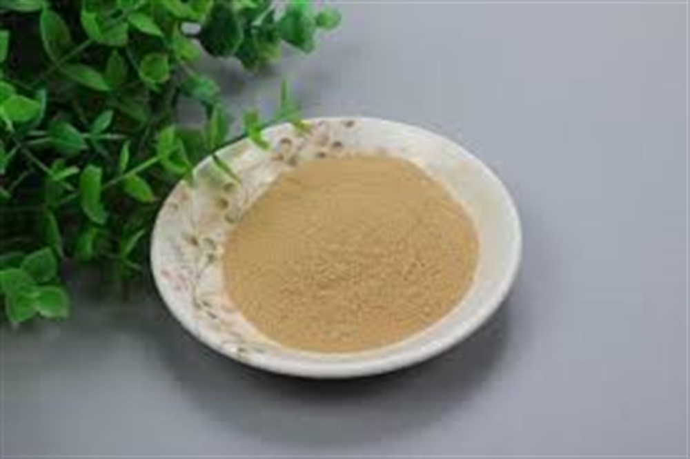 Beta 1,3/1,6 Glucan %70