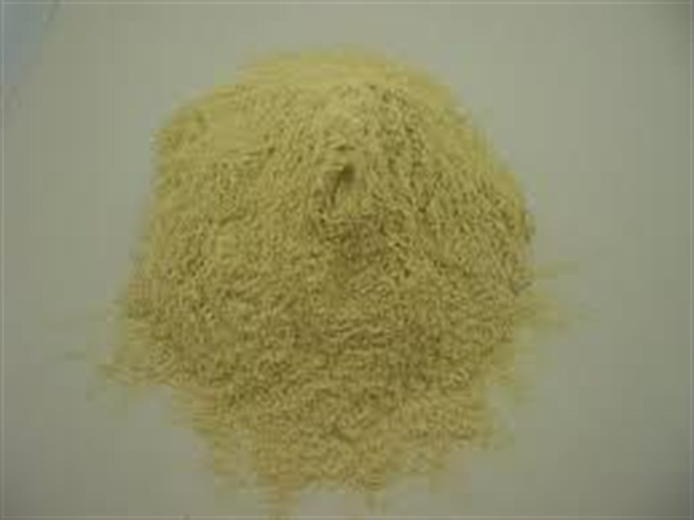 Citrus (Bioflavonoids) Extract 50 gr