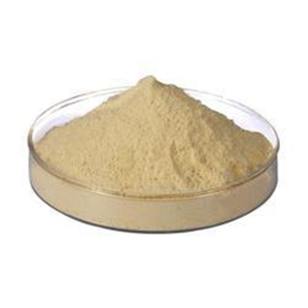 Essential Phospholipids 50 gr