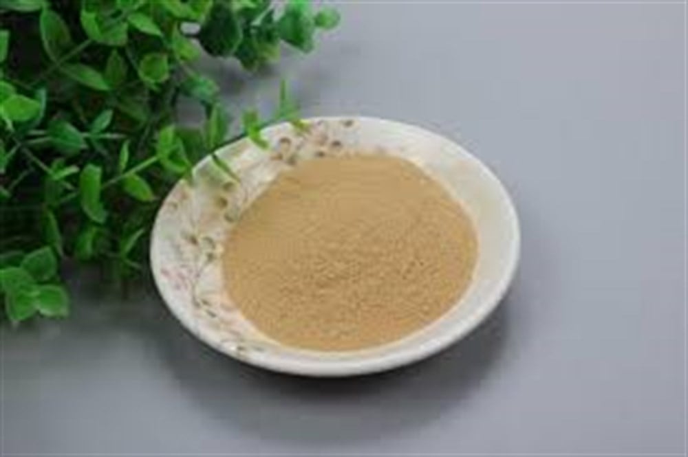 Beta 1,3/1,6 Glucan %70