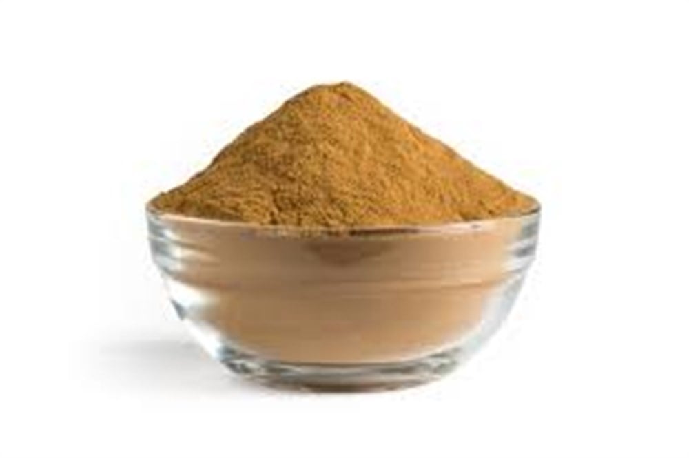Reishi (Reişi-Ganoderma Mantarı) Extract