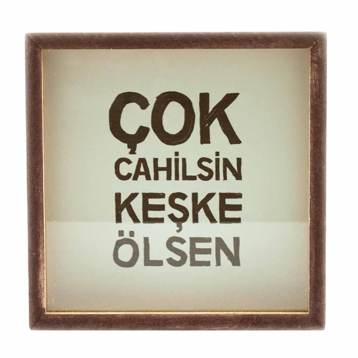 Çok Cahilsin Keşke Ölsen Ahşap ve Cam Tasarımlı Kumbara
