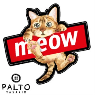 Kedi Tekli Sticker
