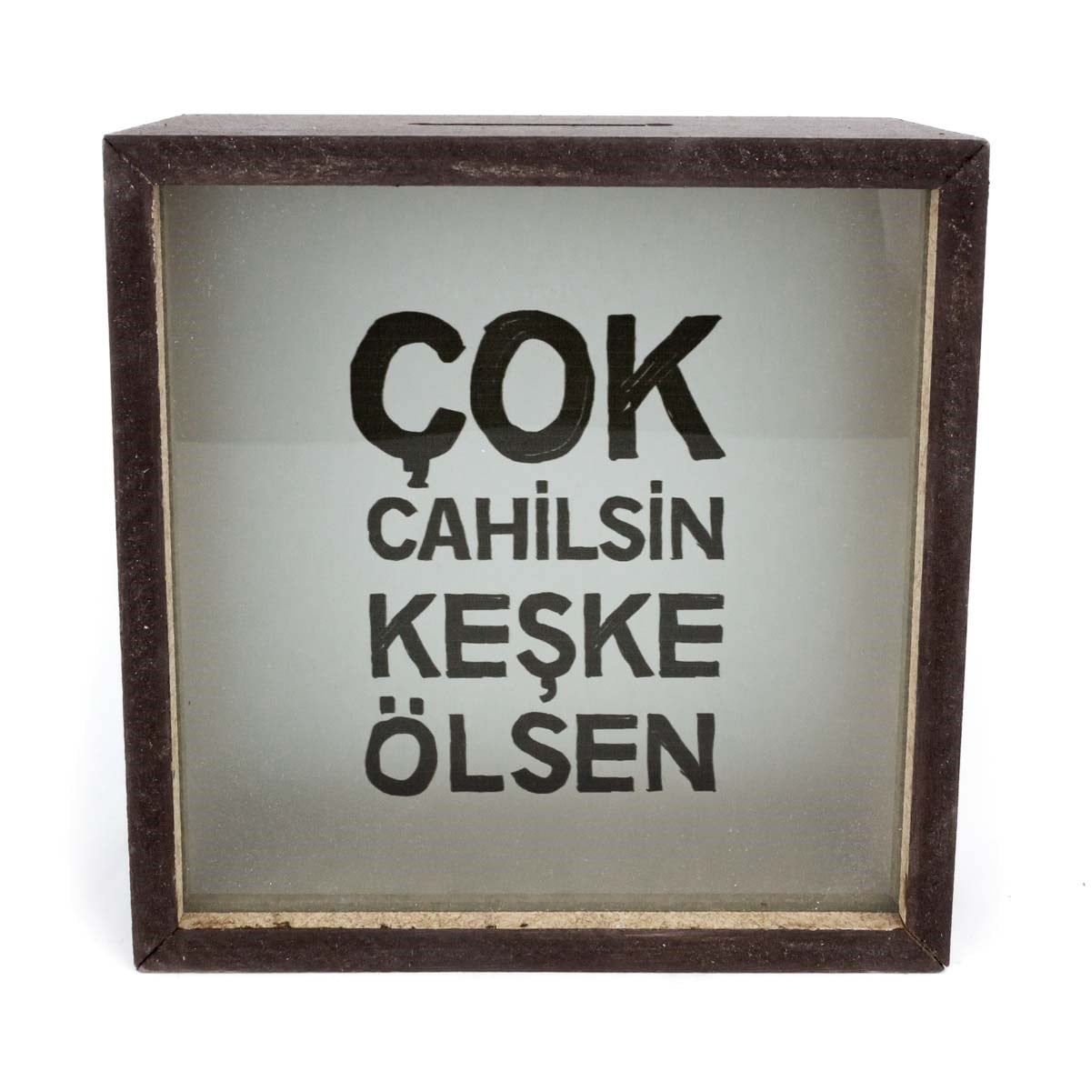 Çok Cahilsin Keşke Ölsen Ahşap ve Cam Tasarımlı Kumbara