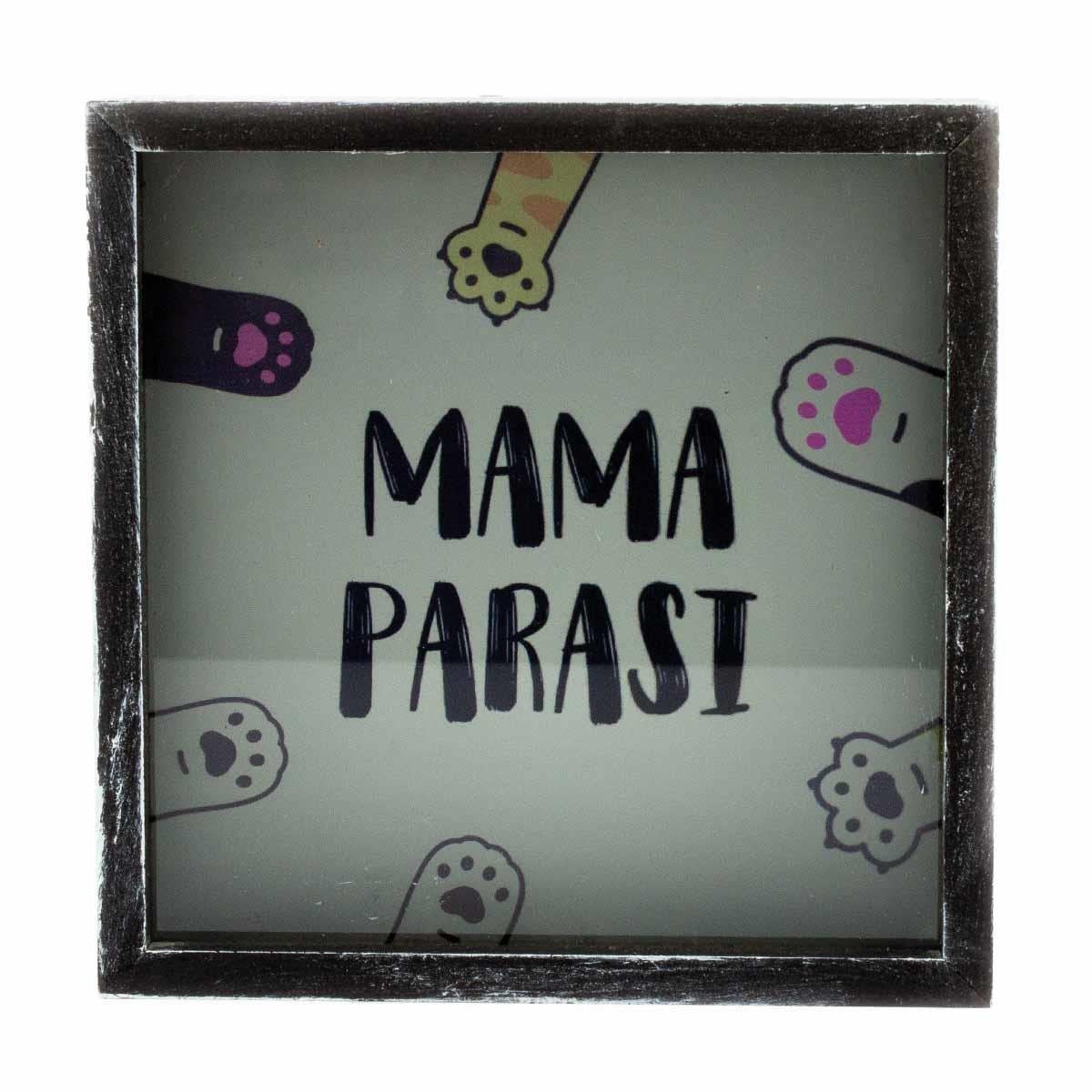 Mama Parası Ahşap ve Cam Tasarımlı Kumbara