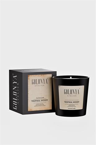 Tropikal Woody Dekoratif Oda & Ofis Premium Kokulu Niche Mum 220 GR