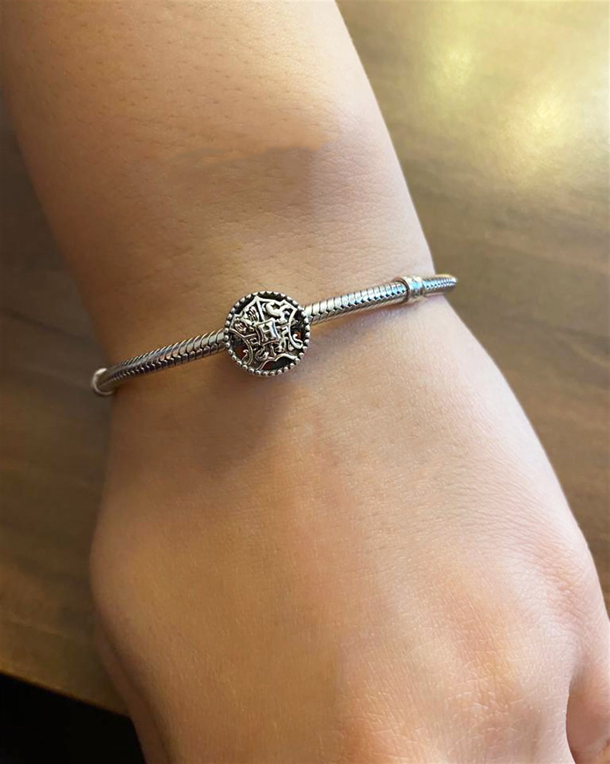Harry Potter Model Gümüş Charm