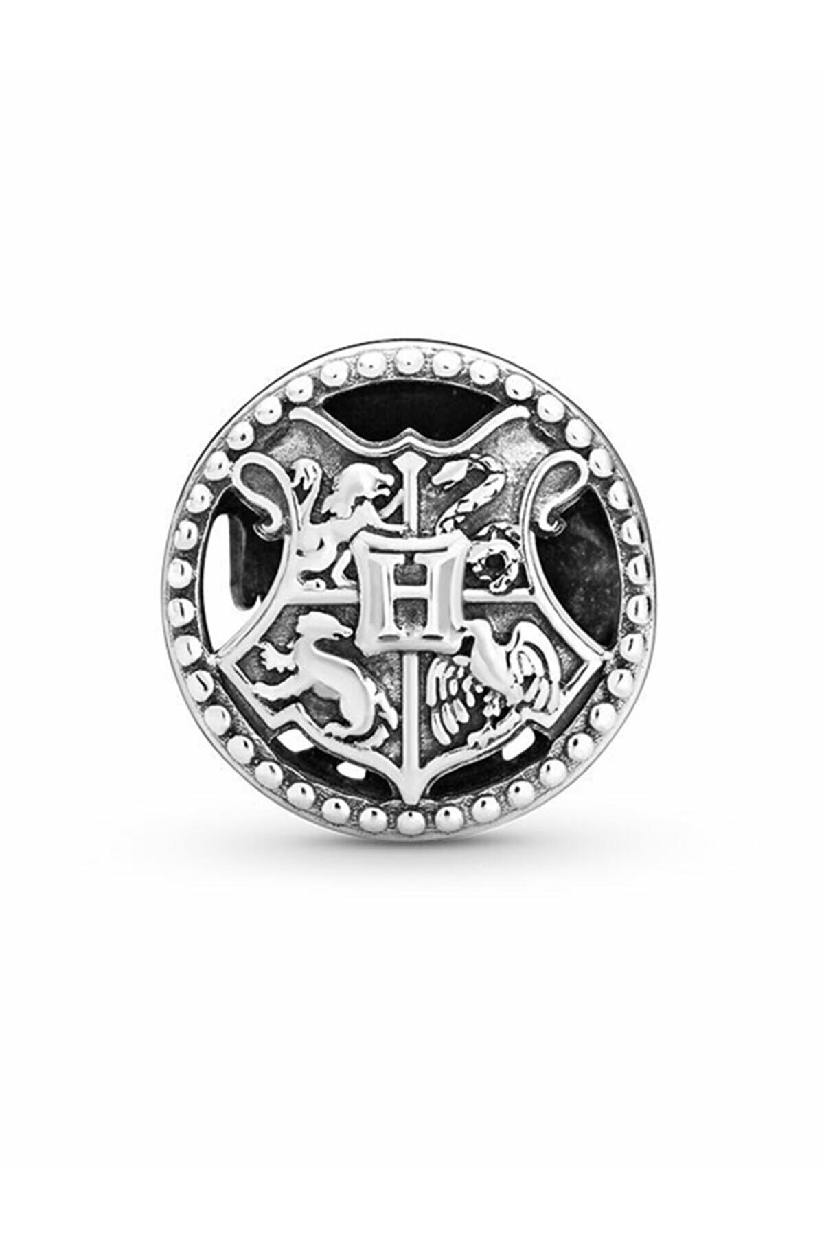 Harry Potter Model Gümüş Charm