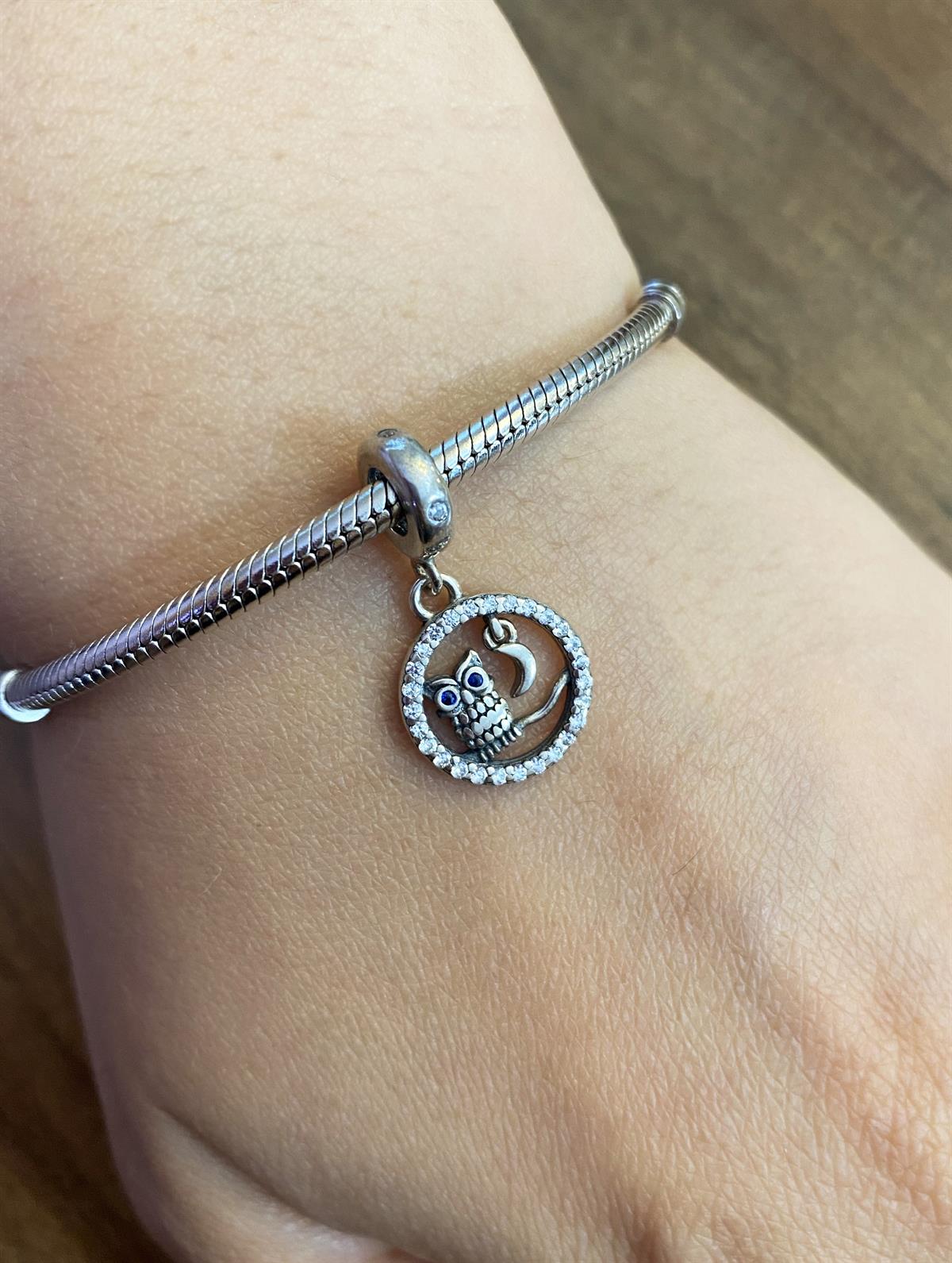 Kadın Dal Üstünde Baykuş Model Gümüş Charm