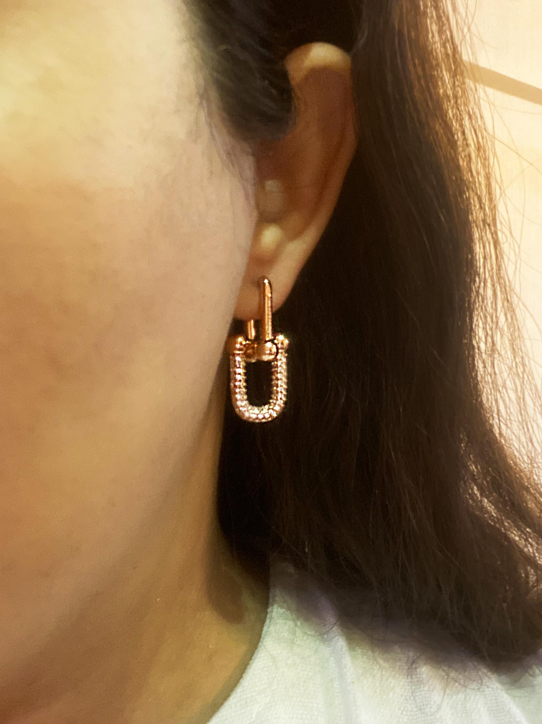 Kadın Rose Renk Taş Detay Çelik Küpe