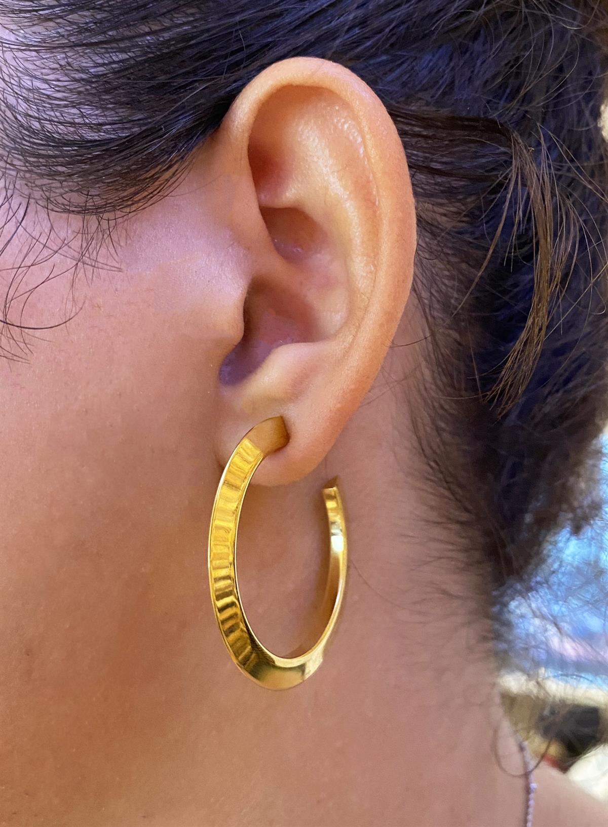 Kadın Yassı Halka Çelik Halka Küpe 