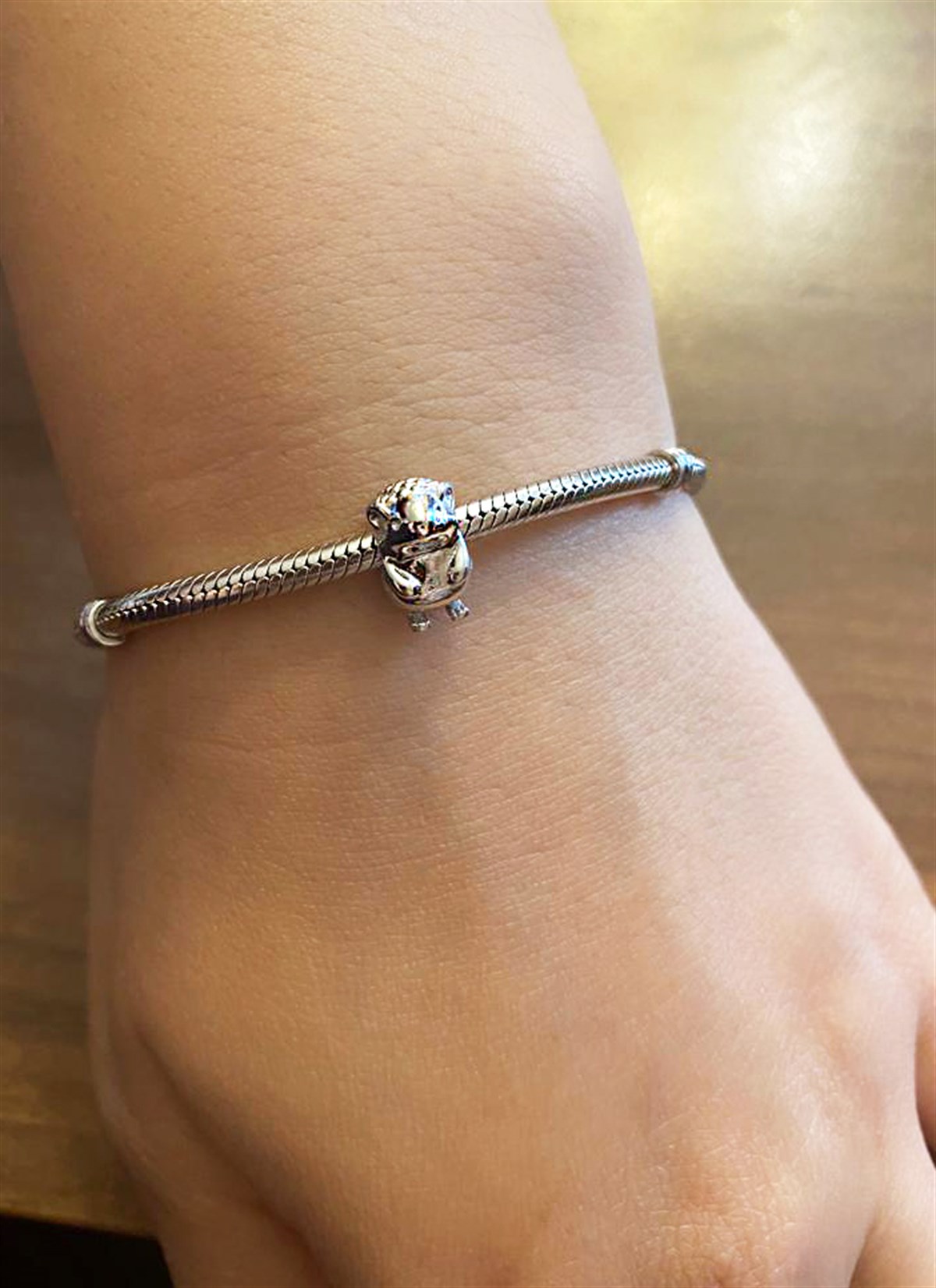 Kirpi Model Gümüş Charm