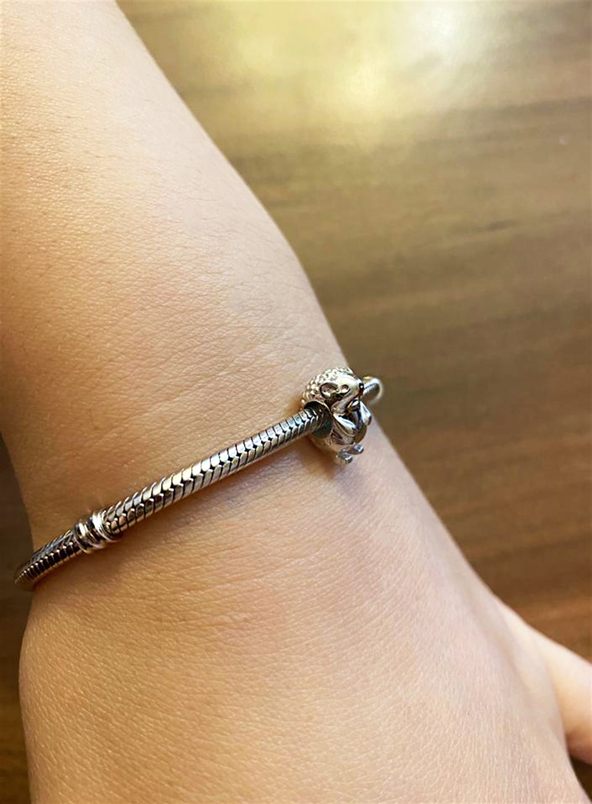 Kirpi Model Gümüş Charm