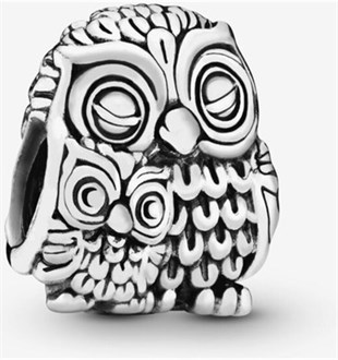 Anne ve Bebek Baykuş Model Gümüş Charm