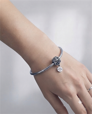Bayan Gümüş Pandora Bileklik Uyumlu Charm