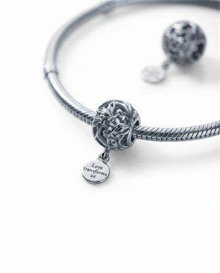 Bayan Gümüş Pandora Bileklik Uyumlu Charm