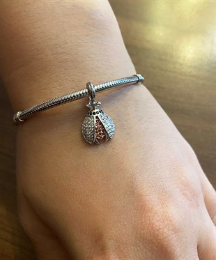 Gümüş Kırmızı Taş Detaylı Uğur Böceği Charm