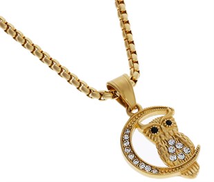 Kadın Ay Üstünde Baykuş Temalı Çelik Kolye