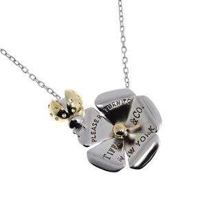 Kadın Çiçek Üzerinde Uğur Böceği Model Gümüş Kolye