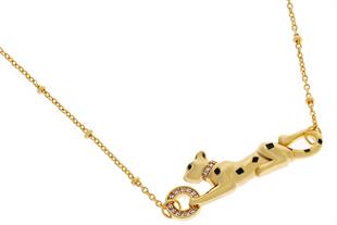 Kadın Kaplan Model Çelik Kolye