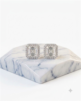 Kadın Moissanite Kare Taş ve Etrafı Sıralı Taş Detay Gümüş Küpe 