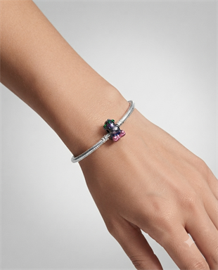 Kadın Renkli Unicorn Model Gümüş Charm