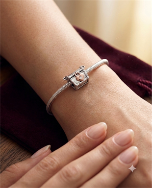 Kadın Sandık Model Gümüş Charm