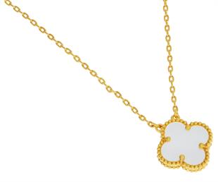 Kadın Yonca Model Çelik Kolye