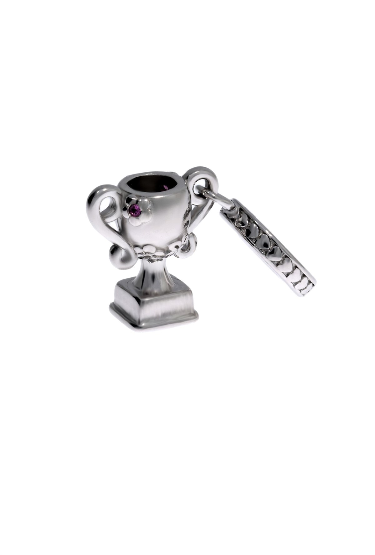 Kadın Gümüş Başarı Kupası Charm