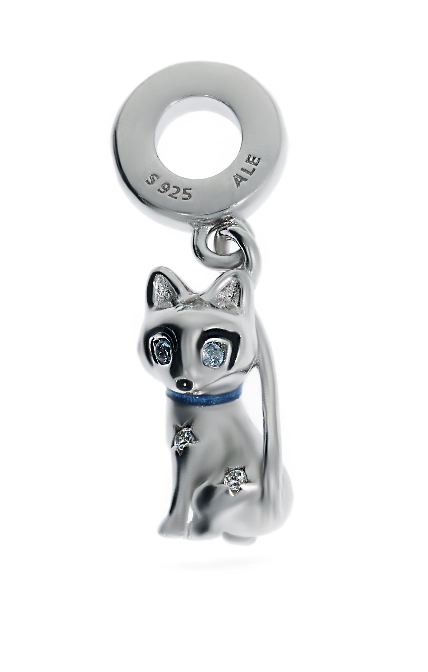 Kadın Kedi Model Gümüş Charm
