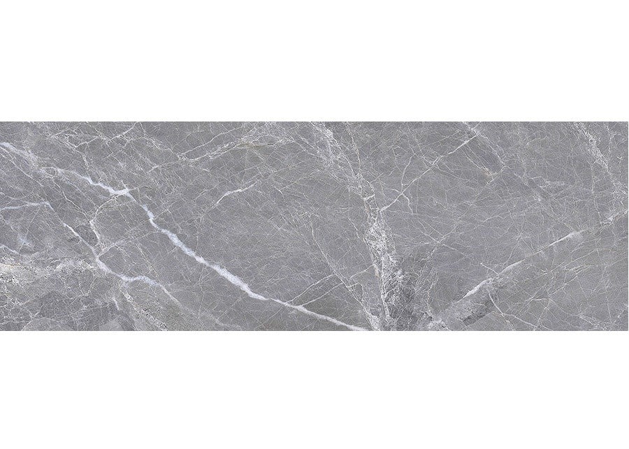 Bien 30x90 ADELA GREY DIGI.REC.1.
