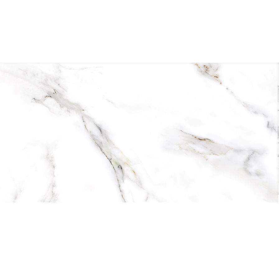 BİEN 60x120 ALEXIX REC.FULL LAP. 1. 