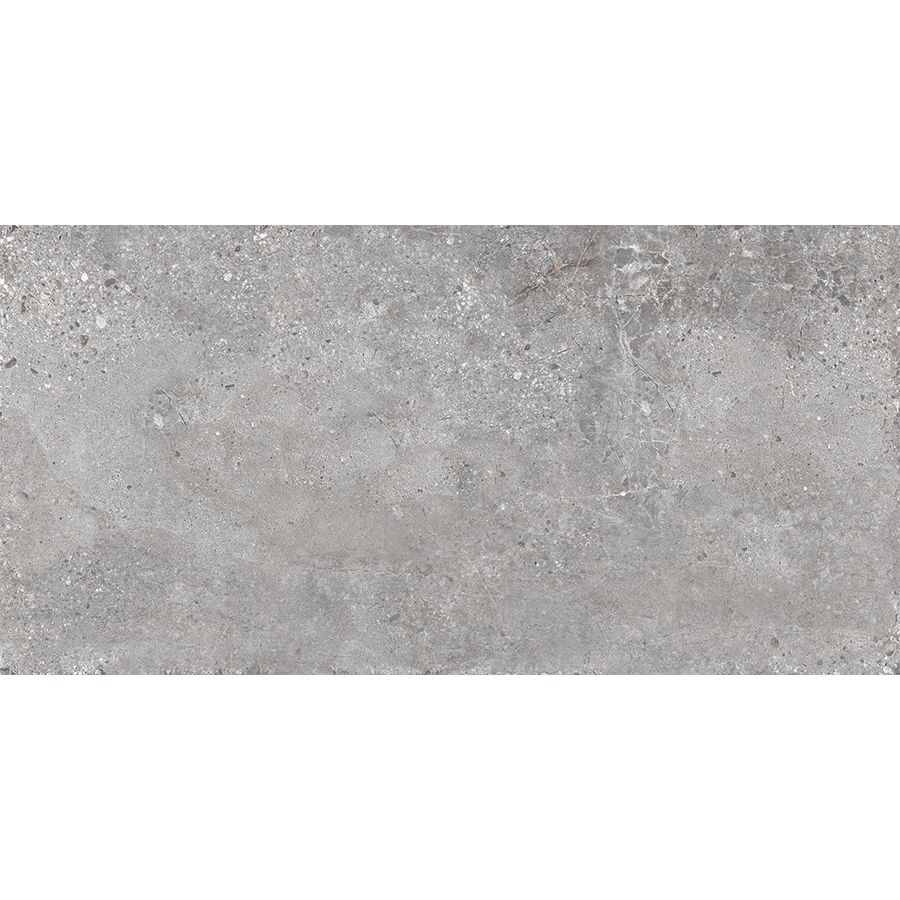 BİEN 60x120 CASORIA GRIGIO DIGI.REC.1.