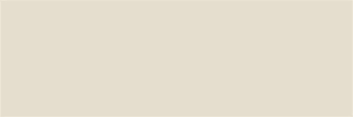 VitrA 10x30 Color RAL 0958010 Açık Vizon Mat Duvar Seramiği K54213200001VTE0