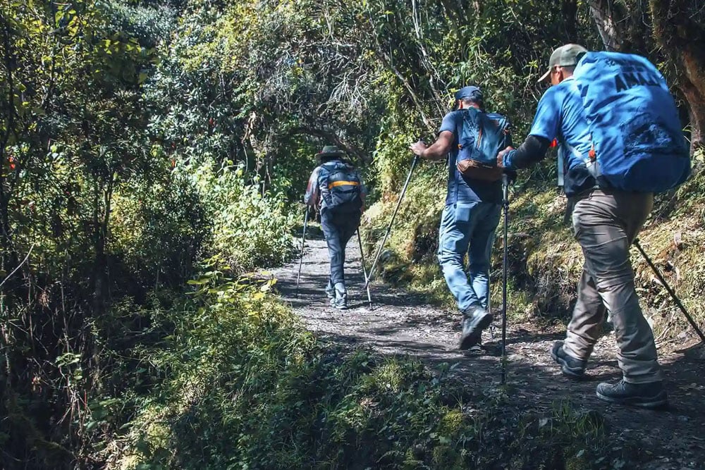 Doğa Yürüyüşü Nedir ve Neden Yapmalısınız?
