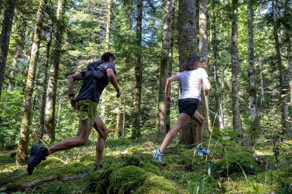 Trail Running (Patika Koşusu) Nedir? Başlangıç Rehberi