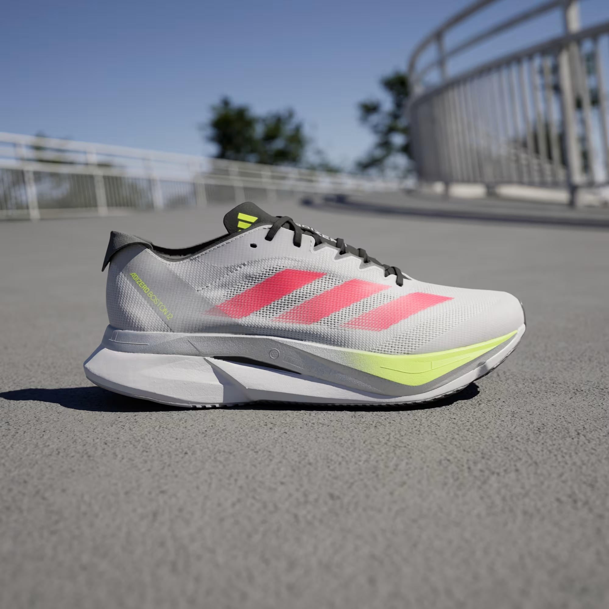 adidas Adizero Boston 12 Erkek Koşu Ayakkabısı