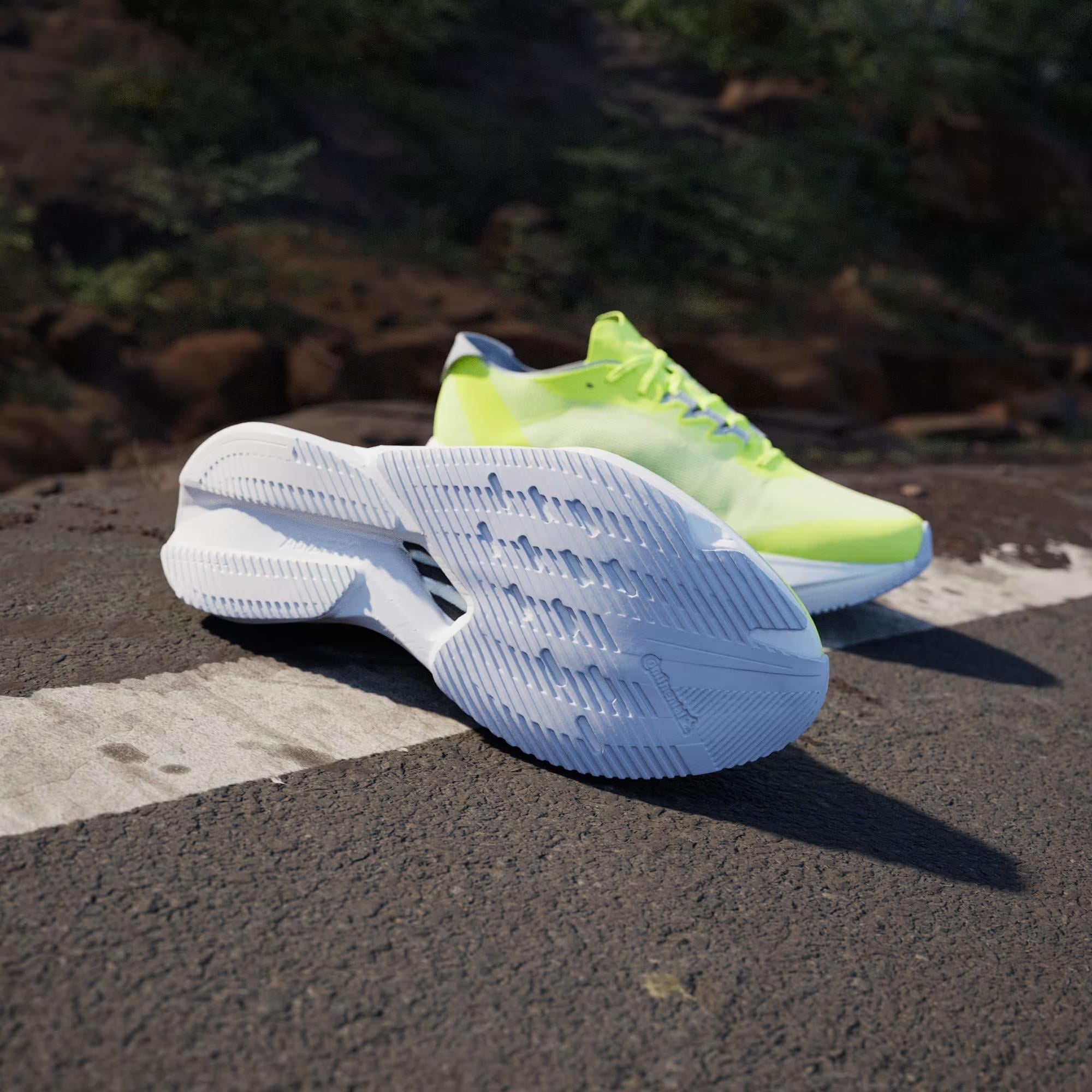 adidas Adizero Boston 12 Erkek Koşu Ayakkabısı