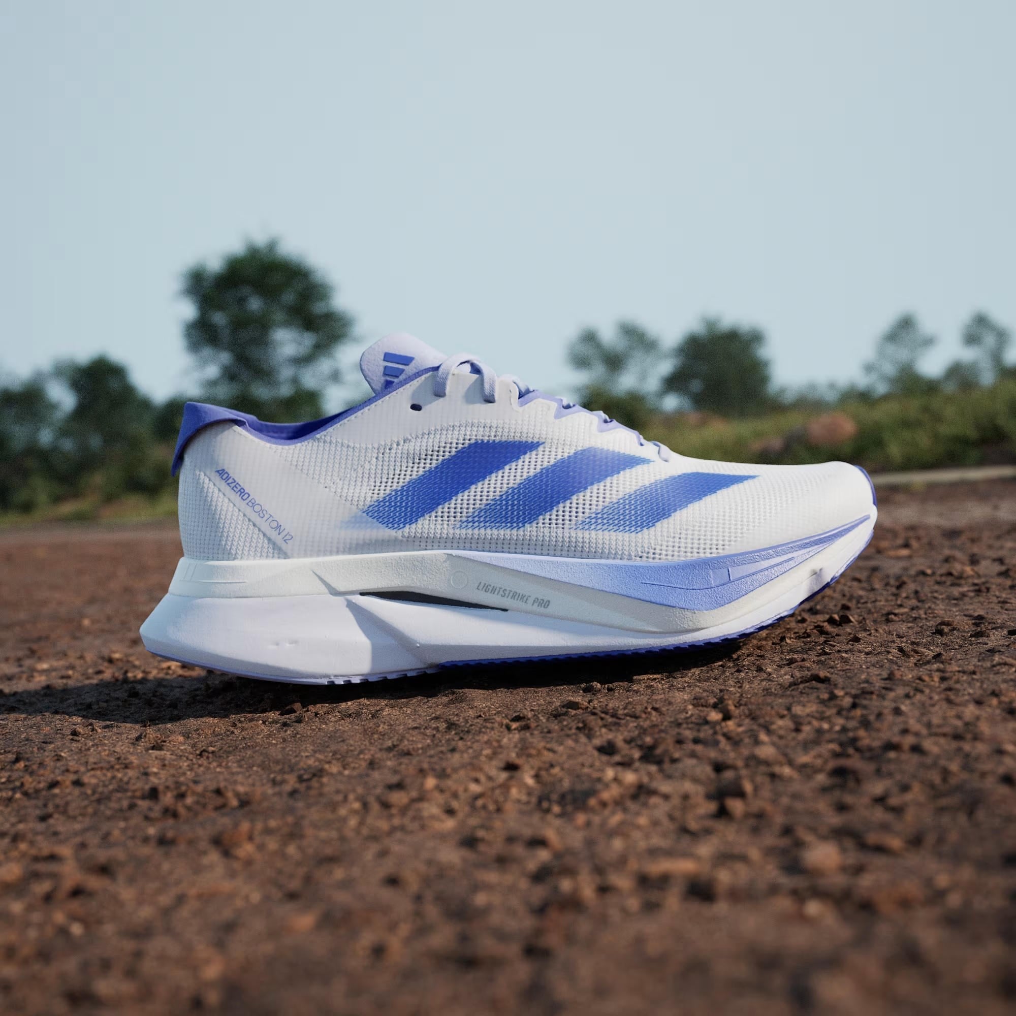 adidas Adizero Boston 12 Kadın Koşu Ayakkabısı