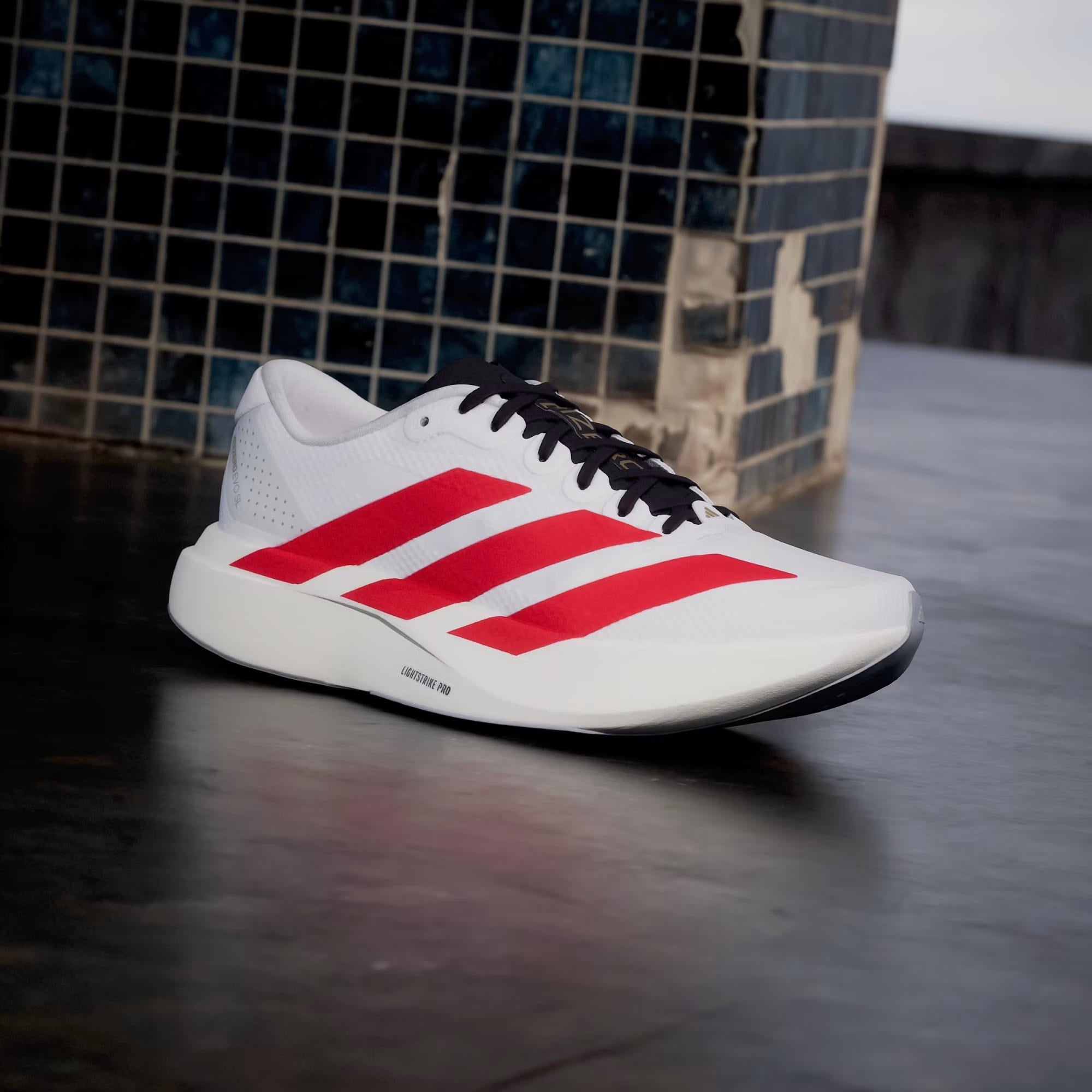 adidas Adizero Evo SL Kadın Koşu Ayakkabısı