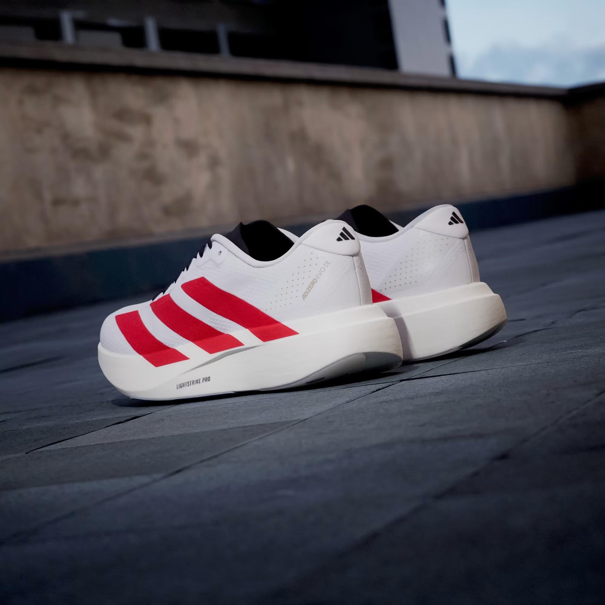 adidas Adizero Evo SL Kadın Koşu Ayakkabısı