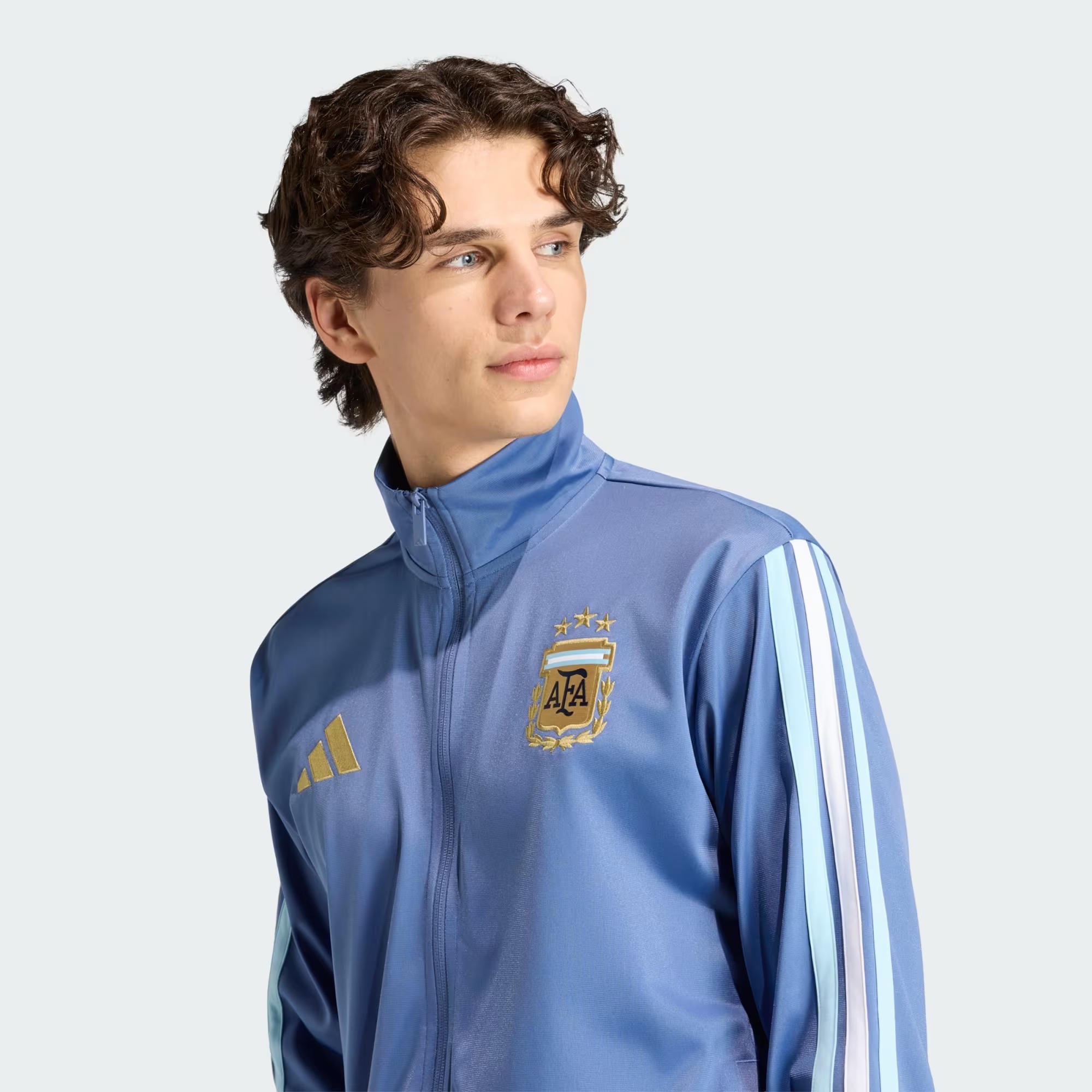 adidas AFA DNA Erkek Sweatshirt