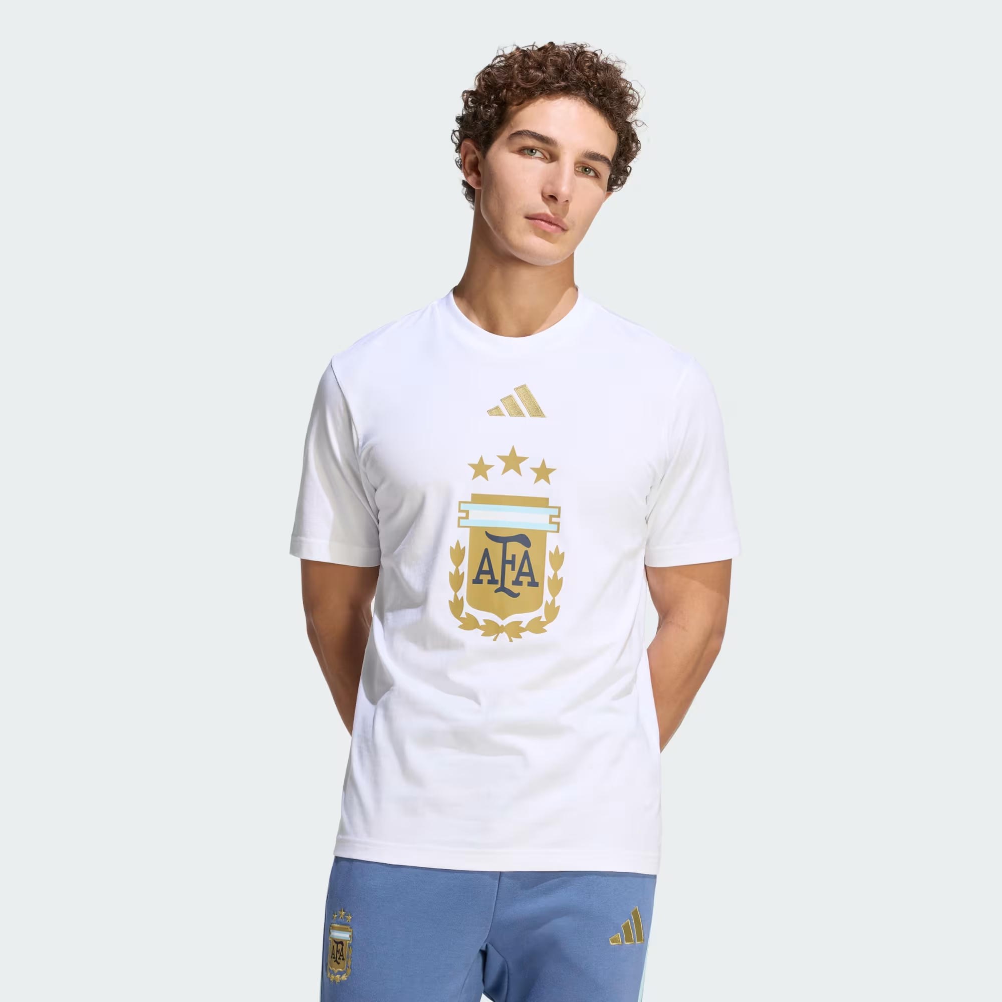 adidas Arjantin DNA Graphic Erkek Tişört