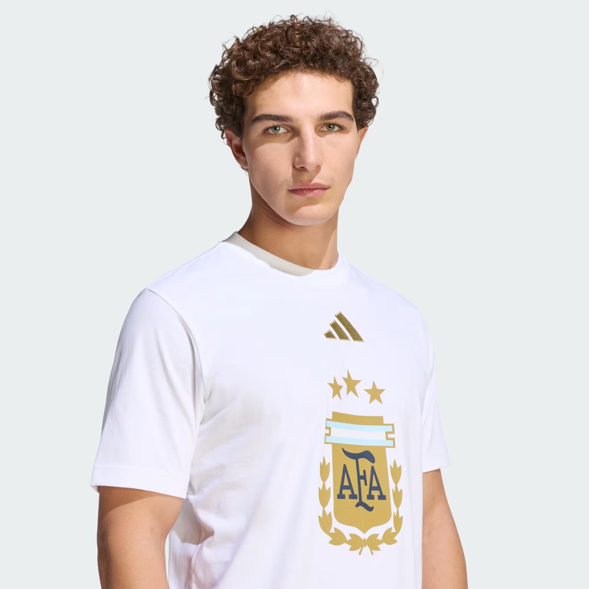 adidas Arjantin DNA Graphic Erkek Tişört