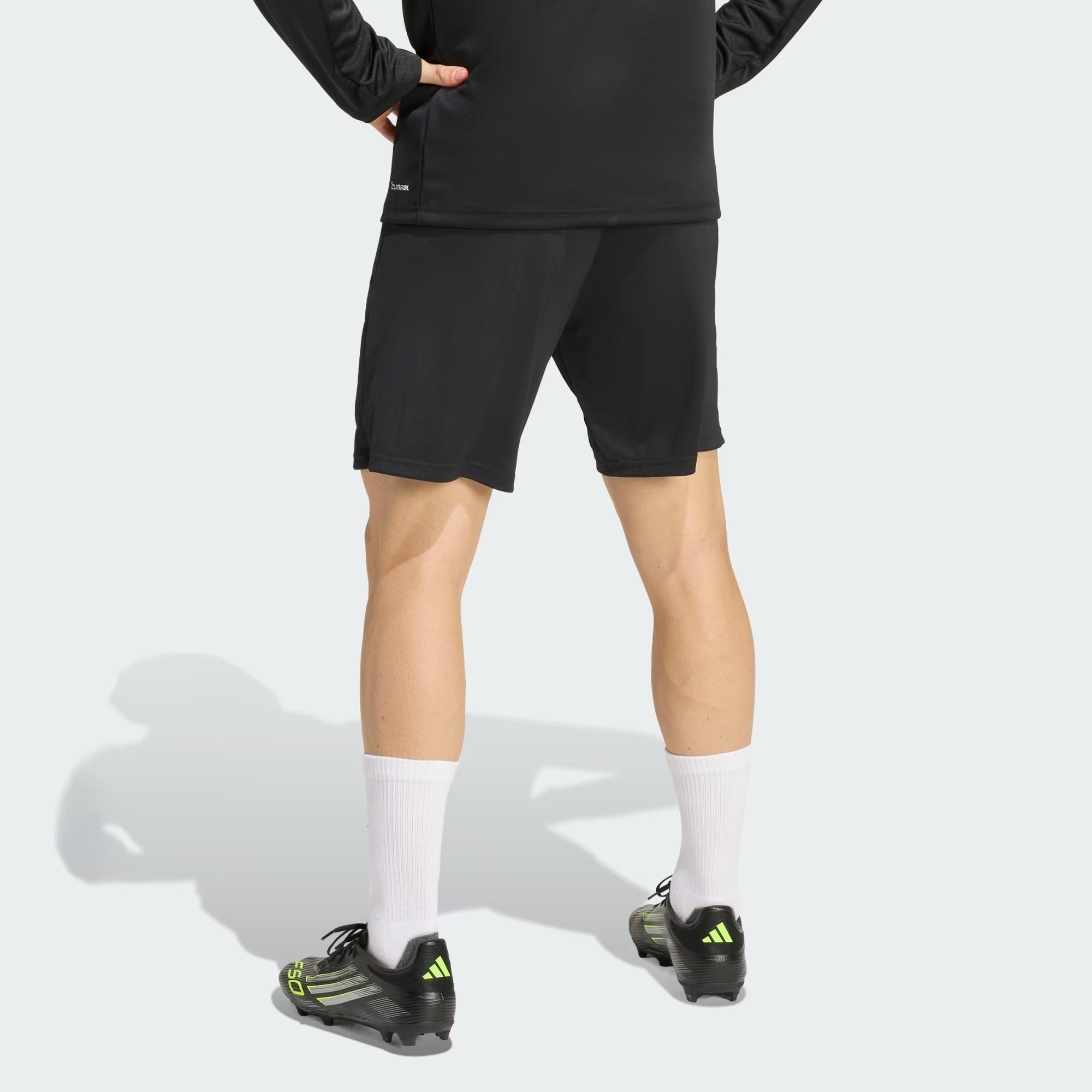 adidas Entrada 26 Training Erkek Şort