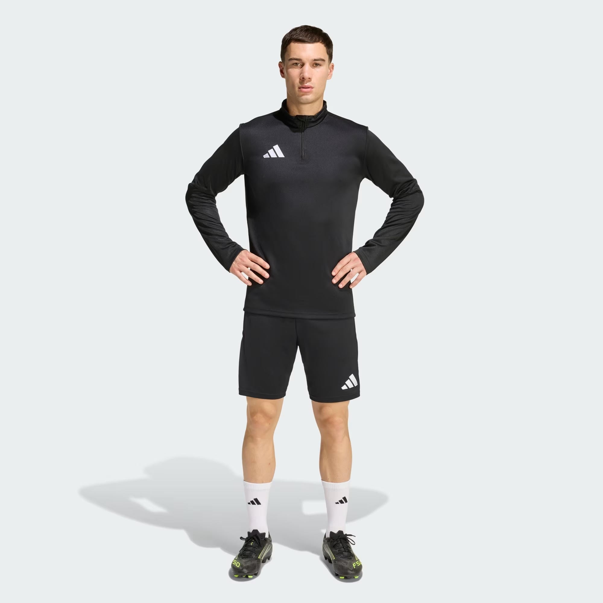 adidas Entrada 26 Training Erkek Şort